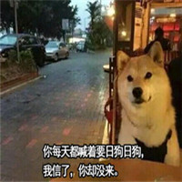 可爱淫荡的狗狗微信带字表情包