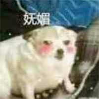 可爱淫荡的狗狗微信带字表情包