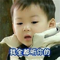 宋民国男朋友的谎话系列微信表情包