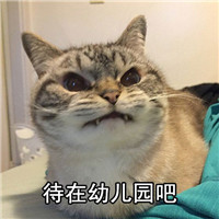 朋友怎么样系列微信萌宠文字表情包