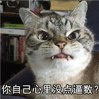 朋友怎么样系列微信萌宠文字表情包