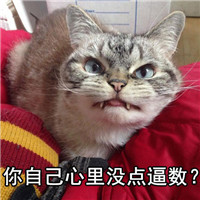 朋友怎么样系列微信萌宠文字表情包