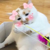 爆笑表情包系列微信恶搞头像