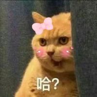 爆笑表情包系列微信恶搞头像