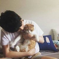 帅气小鲜肉系列微信头像下载