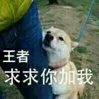 爆笑恶搞王者荣耀带字微信表情包