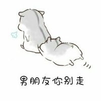 可爱仓鼠之男朋友去哪了微信表情包