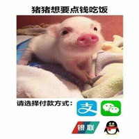 双十一怼人专用微信表情包下载