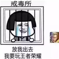 爆笑恶搞王者荣耀微信表情包合集