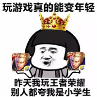 爆笑恶搞王者荣耀微信表情包合集