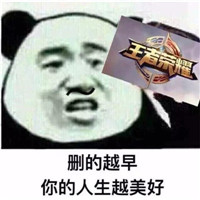 爆笑恶搞王者荣耀微信表情包合集