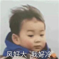 双十一怼人专用微信表情包下载
