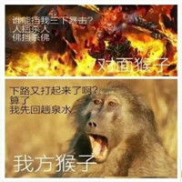 爆笑恶搞王者荣耀微信表情包合集