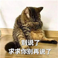 双十一怼人专用微信表情包下载