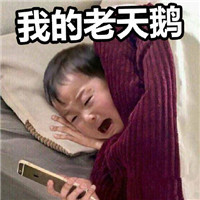 双十一怼人专用微信表情包下载