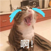双十一怼人专用微信表情包下载