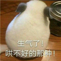 双十一怼人专用微信表情包下载