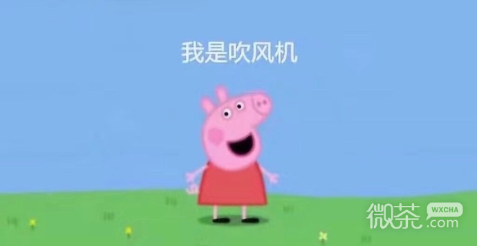 爆笑小猪佩奇吹风机系列微信表情包