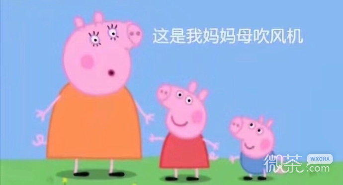 爆笑小猪佩奇吹风机系列微信表情包