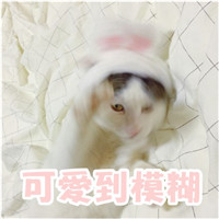 萌萌哒的网红猫系列微信搞笑表情包
