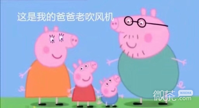 爆笑小猪佩奇吹风机系列微信表情包