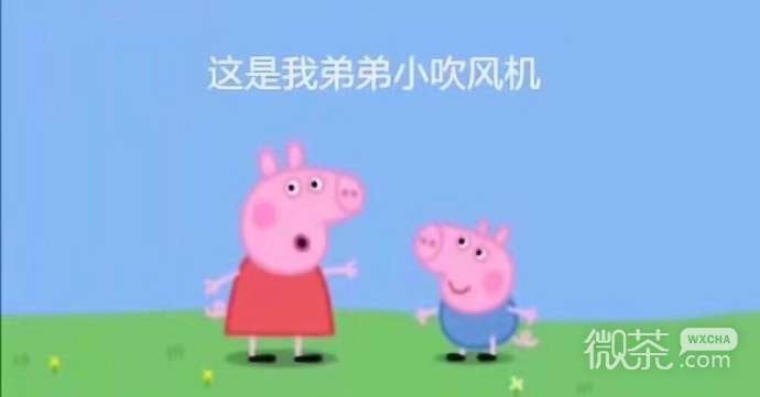 爆笑小猪佩奇吹风机系列微信表情包