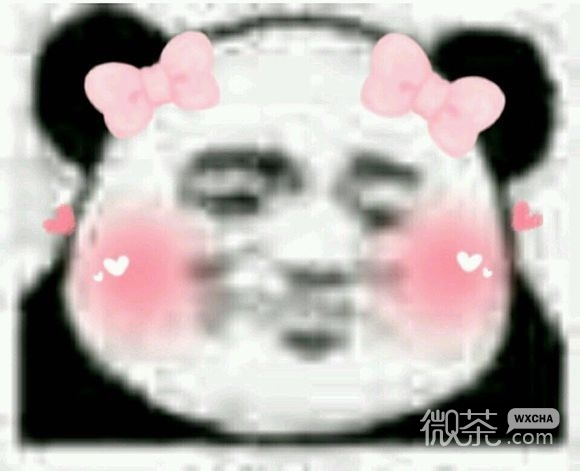 少女心爆棚粉红色熊猫头微信表情包合集