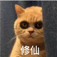 萌萌哒的黑眼圈喵星人微信表情包下载