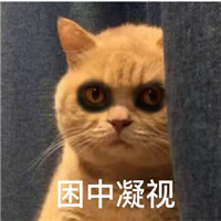 萌萌哒的黑眼圈喵星人微信表情包下载