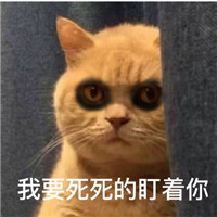 萌萌哒的黑眼圈喵星人微信表情包下载