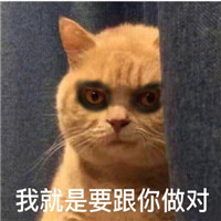 萌萌哒的黑眼圈喵星人微信表情包下载