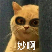 萌萌哒的黑眼圈喵星人微信表情包下载