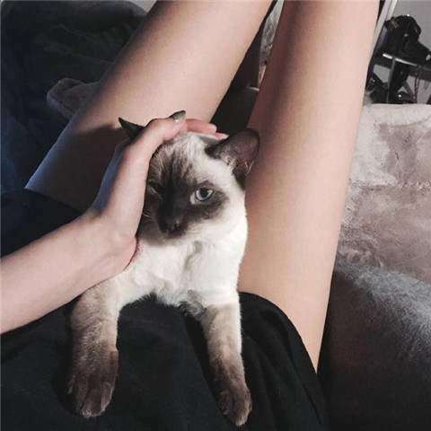 性感迷人大胸美女系列微信头像合集下载