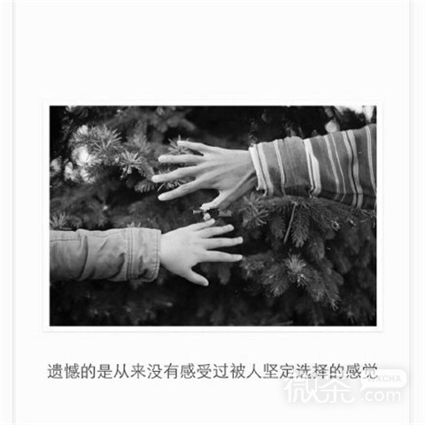 唯美伤感微信黑白相册封面下载