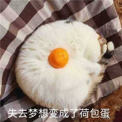 搞笑奇葩系列微信恶搞情侣头像下载
