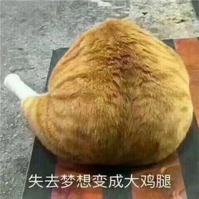 搞笑奇葩系列微信恶搞情侣头像下载