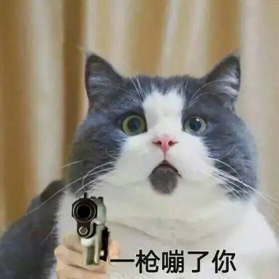 爆笑恶搞系列微信搞笑头像下载