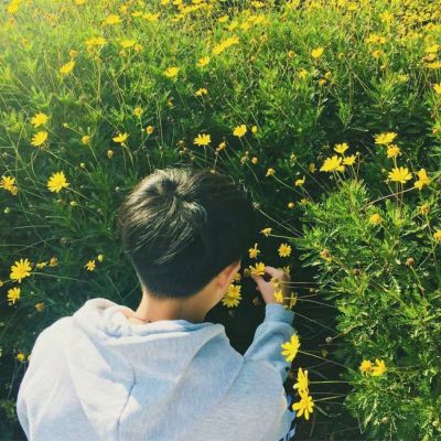 唯美小清新系列微信情侣头像合集下载