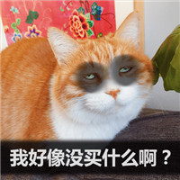 可爱萌萌哒的双十二剁手喵星人微信表情包下载