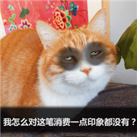 可爱萌萌哒的双十二剁手喵星人微信表情包下载
