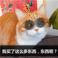 可爱萌萌哒的双十二剁手喵星人微信表情包下载