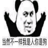 可爱搞怪我们不一样熊猫头微信恶搞表情包下载