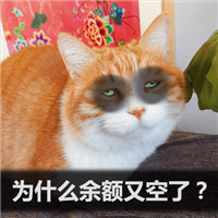 可爱萌萌哒的双十二剁手喵星人微信表情包下载