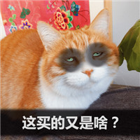 可爱萌萌哒的双十二剁手喵星人微信表情包下载