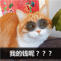 可爱萌萌哒的双十二剁手喵星人微信表情包下载