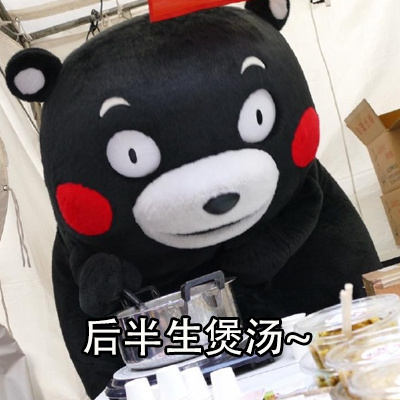 可爱搞笑养生熊本熊微信表情包下载