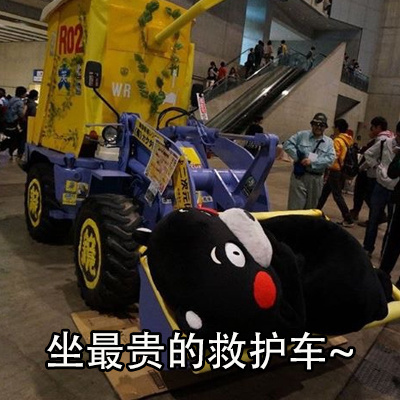 可爱搞笑养生熊本熊微信表情包下载