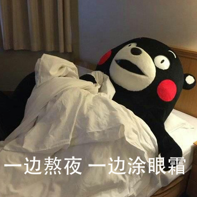 可爱搞笑养生熊本熊微信表情包下载