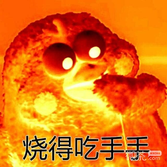 你的良心不会炸吗系列微信爆笑表情包合集下载