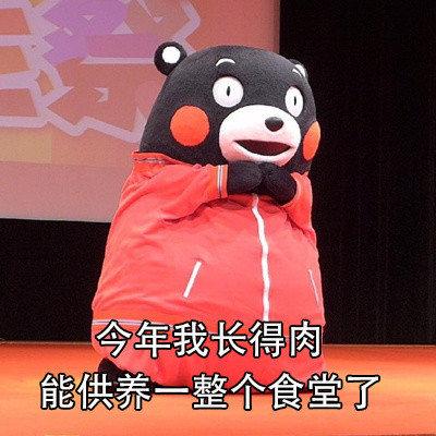 2017年末总结熊本熊系列表情包合集下载